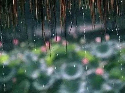 家里溫濕平衡、四季如春，遠(yuǎn)離梅雨季